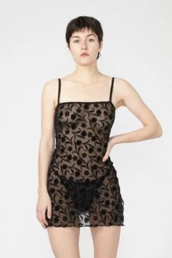 Aniela ParysAlma Dress