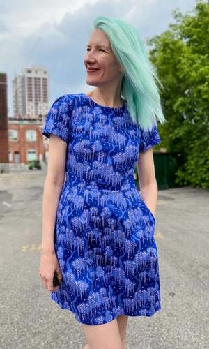 Birds Of North AmericaEngoulevent Dress - Cat Dreams