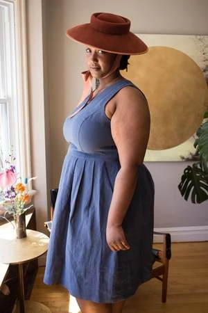 Birds Of North AmericaTammie Norrie Dress - Indigo