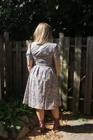 Birds Of North AmericaWinter Chippy Dress - Blue - Image 3