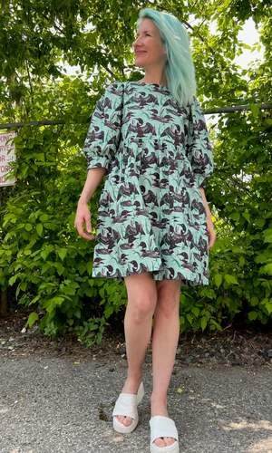 Birds Of North AmericaDevil Downhead Dress - Loons