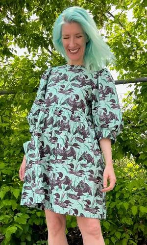 Birds Of North AmericaDevil Downhead Dress - Loons - Image 4