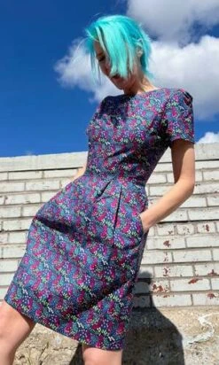 Birds Of North AmericaEngoulevent Dress - Girl On A Swing