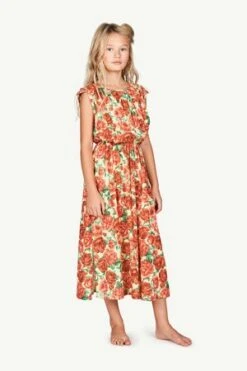 The Animals Observatorykids The Animals Observatory Marten Dress - Rose Print