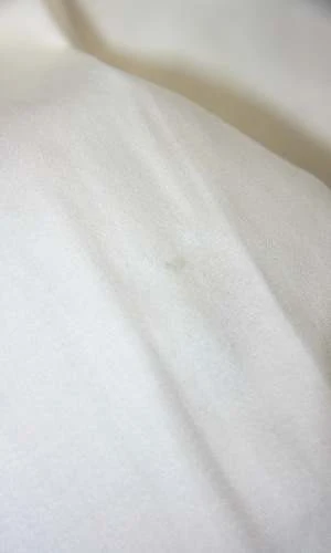 Birds Of North AmericaBirds Of North America SS124 - 8 - Soar Dress - Ivory - Image 3