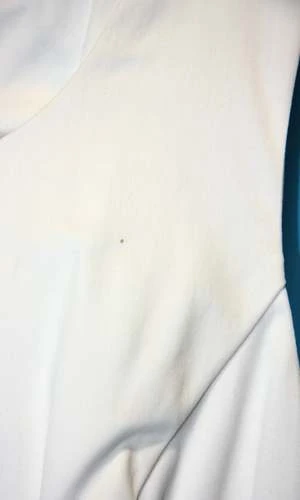 Birds Of North AmericaBirds Of North America SS124 - 8 - Soar Dress - Ivory - Image 2