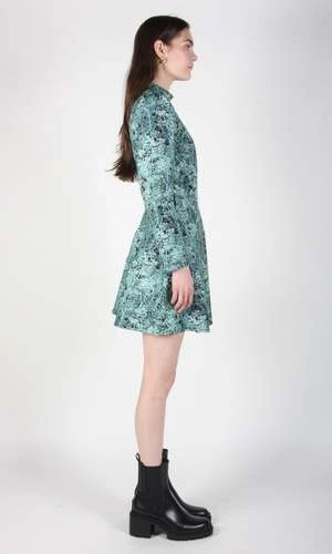 Birds Of North AmericaTopaz Dress - Ice Storm - Image 7