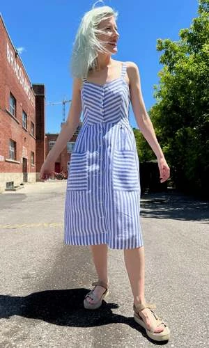 Birds Of North AmericaVesper Sparrow Dress - Royal Stripe