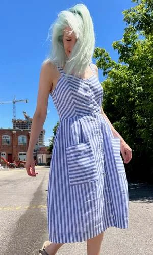 Birds Of North AmericaVesper Sparrow Dress - Royal Stripe - Image 3