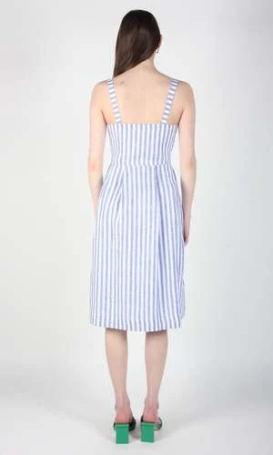 Birds Of North AmericaVesper Sparrow Dress - Royal Stripe - Image 9